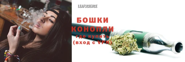 гидра Белокуриха