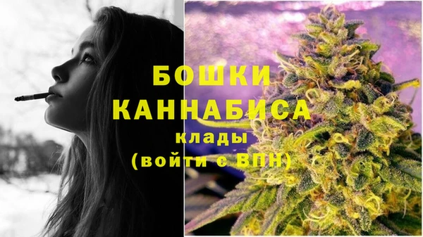 PSILOCYBIN Белоозёрский