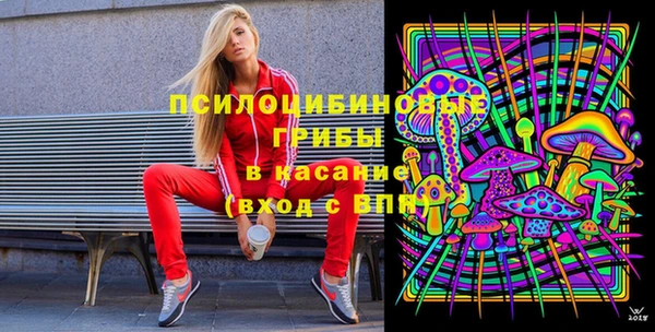 PSILOCYBIN Белоозёрский