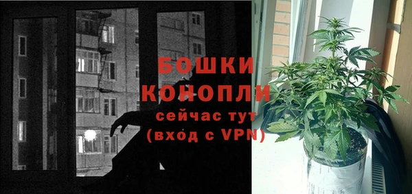гидра Белокуриха